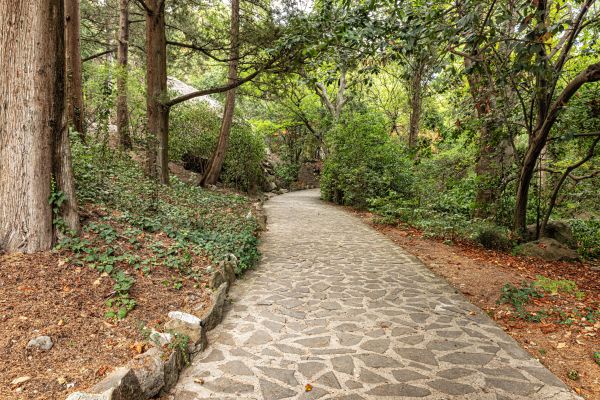 Stone Walkway Repair in Wilmington