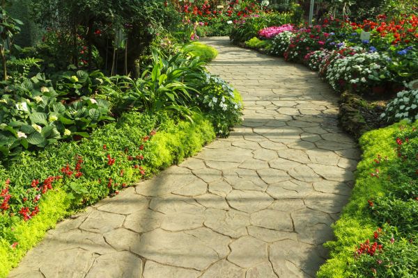 Stone Pathway Repair in Wilmington