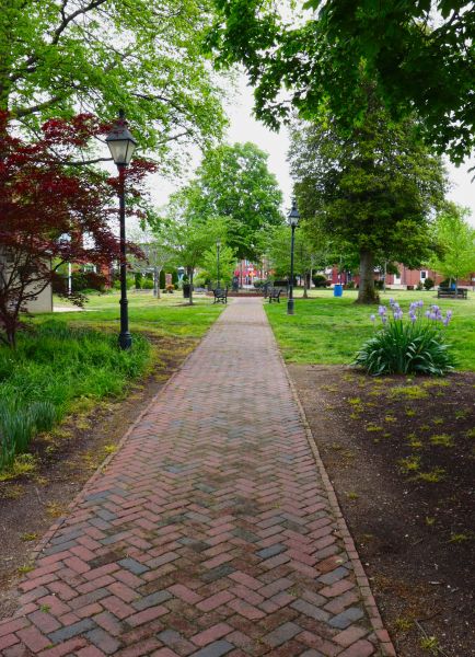 Brick Pathway Repair in Wilmington