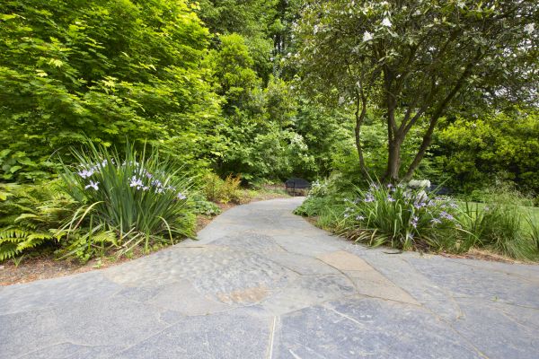 Stone Hardscape Service in Wilmington
