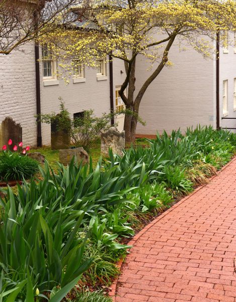 Brick Flatwork Repair in Wilmington